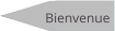 Bienvenue